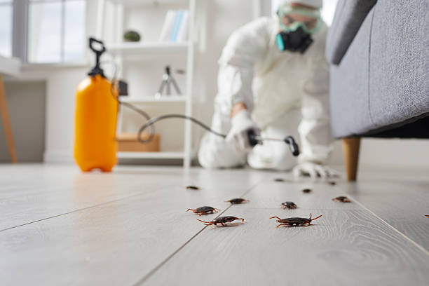 Trusted Fumigation Services service in Ashford, AL - Nex Pest Control