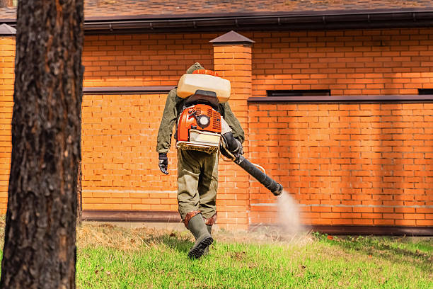 Trusted Cockroach Control service in Ashford, AL - Nex Pest Control